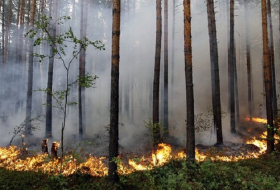 Russia significantly under-reporting wildfires, figures show